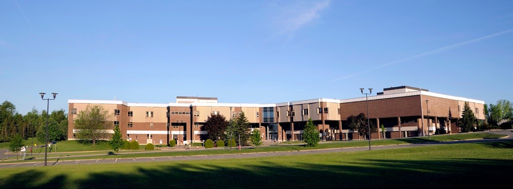 Collège Shawinigan | 2263 Avenue du Collège, Shawinigan, QC G9N 6V8, Canada | Phone: (819) 539-6401