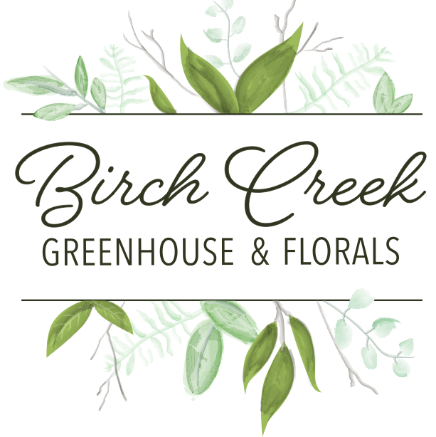 Birch Creek Greenhouse & Florals | 33849 Church Camp Rd, Goderich, ON N7A 3Y3, Canada | Phone: (519) 524-6874