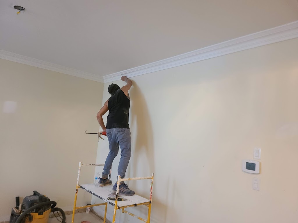 Reliable pro painting | Willowdale Ave, North York, ON M2M 3C2, Canada | Phone: (416) 897-0840