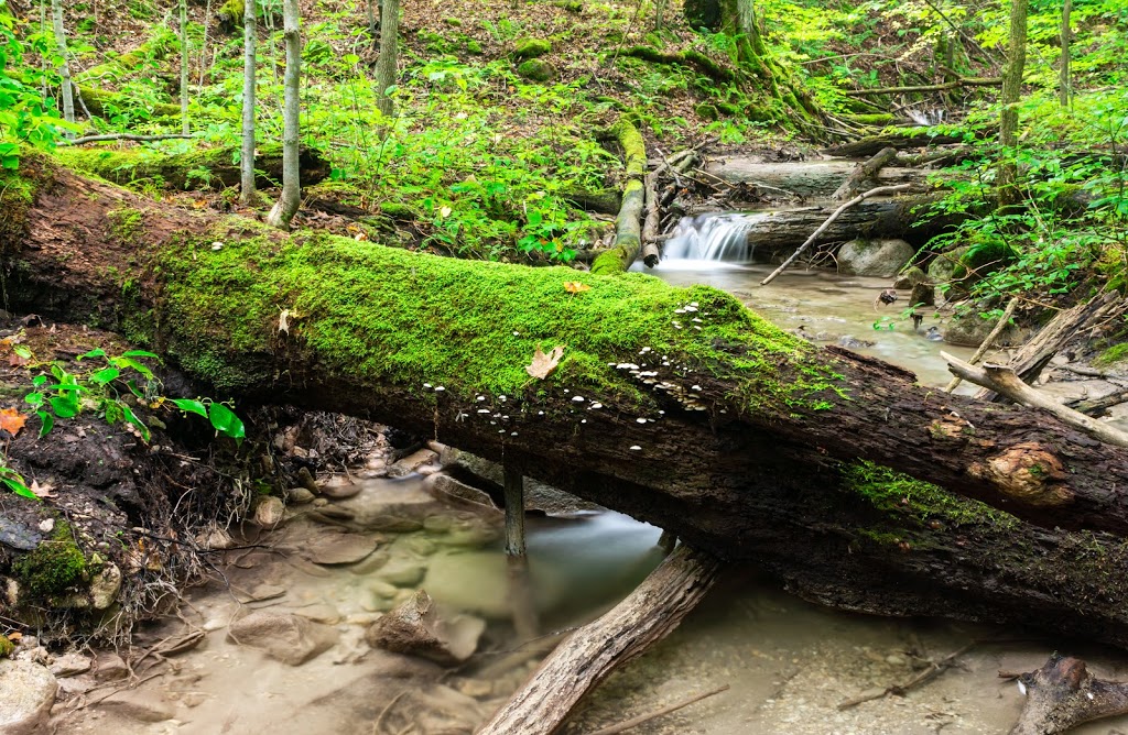 Bruce trail, hockley valley nature reserve. | 794110 3rd Line EHS, Orangeville, ON L9W 2Y8, Canada | Phone: (705) 435-2498