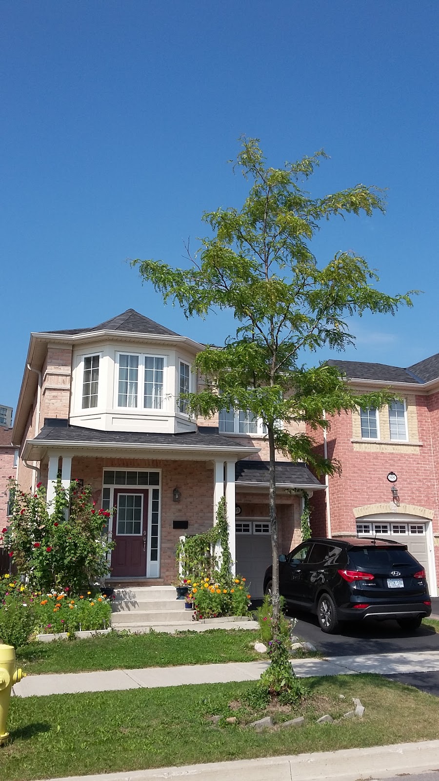 Midland - St. Clair Park | 65 Jeanette St, Scarborough, ON M1M 3H2, Canada