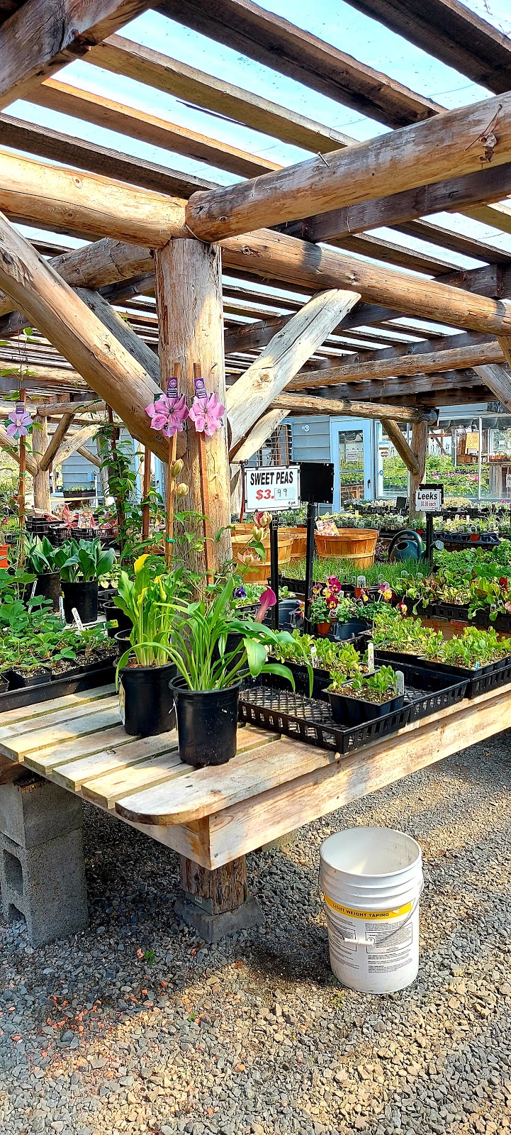 Arrowsmith Greenhouses | 2880 Alberni Hwy, Qualicum Beach, BC V9K 1Y3, Canada | Phone: (250) 752-1592