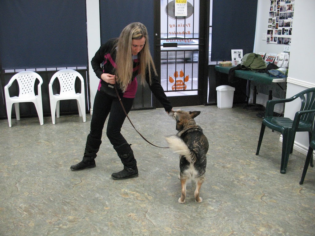 ACTT - Norma Jeannes Dog Training | 1620 Wallbridge Loyalist Rd, Belleville, ON K8N 4Z5, Canada | Phone: (705) 917-3647