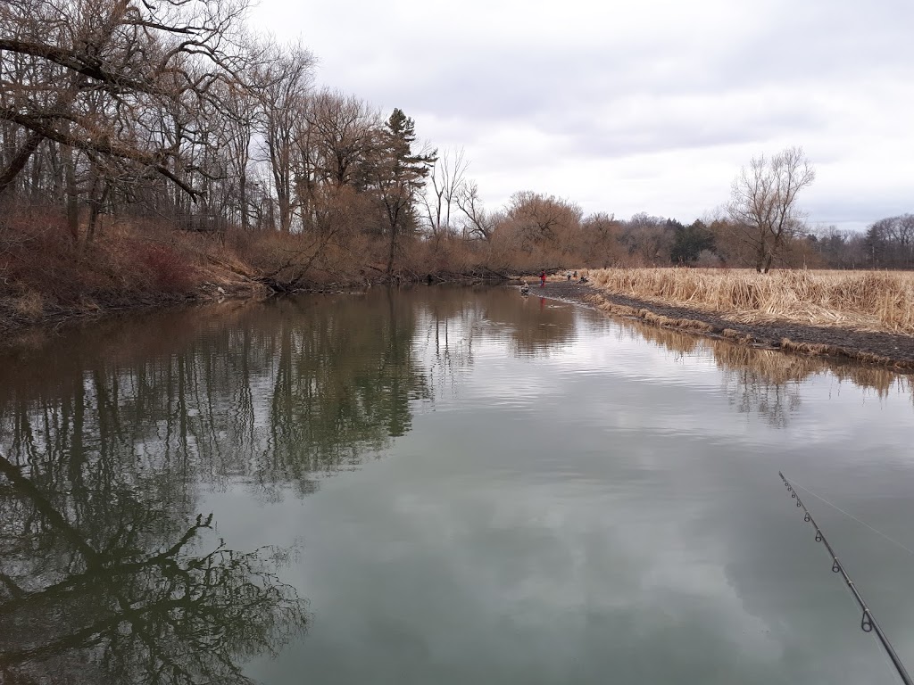 Samuel Wilmot Nature Area | 0A6, Waterfront Trail, Newcastle, ON L1B 0A6, Canada