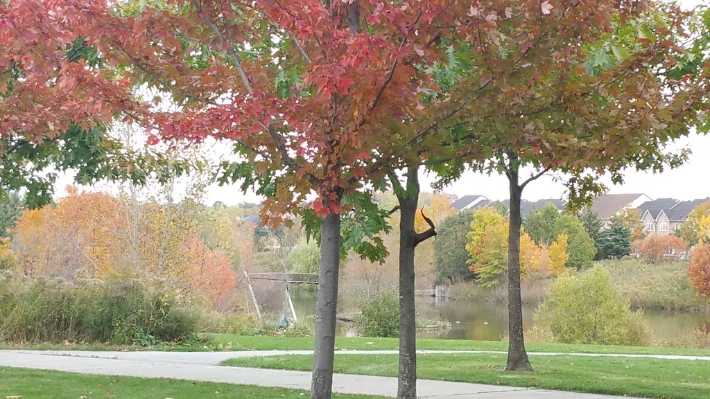 South Unionville Stormwater Management Park | Unnamed Road, Unionville, ON L3R 4S2, Canada