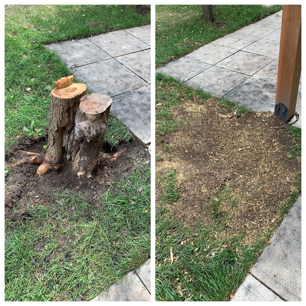 Stump King (Stump Removal Specialist) | 3381 Vernon Powell Dr, Oakville, ON L6H 0Y3, Canada | Phone: (416) 518-3152