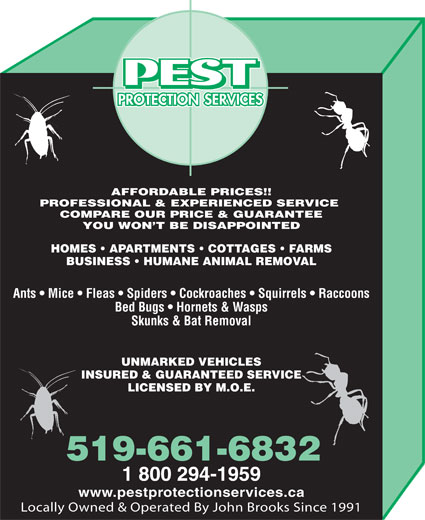 Pest Protection Services | 283 Alma St, St Thomas, ON N5P 3B9, Canada | Phone: (519) 661-6832