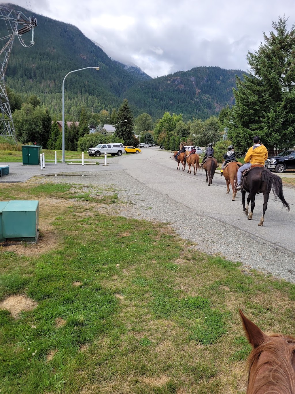 Adventures On Horseback | 7476 Prospect St, Pemberton, BC V0N 2L0, Canada | Phone: (604) 894-6269