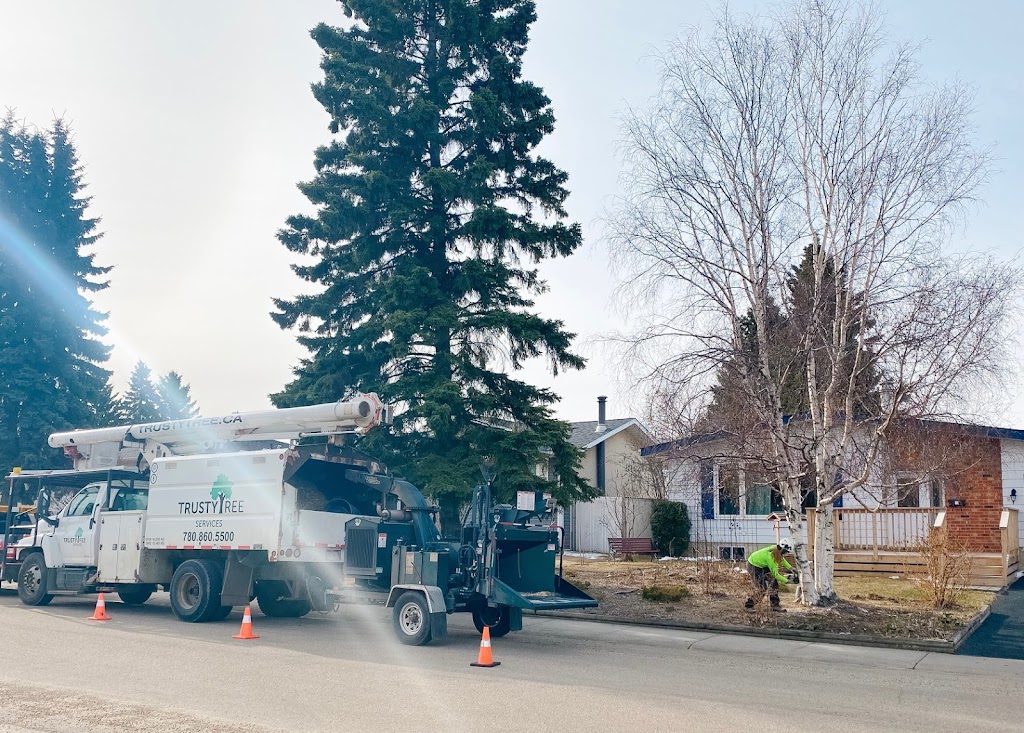 Trusty Tree Services | 11410 2 St, Sherwood Park, AB T8A 6E8, Canada | Phone: (780) 860-5500