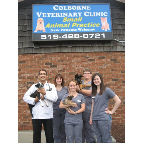 Colborne Veterinary Clinic | 2512 Hwy 24 N, Simcoe, ON N3Y 4K3, Canada | Phone: (519) 428-0721