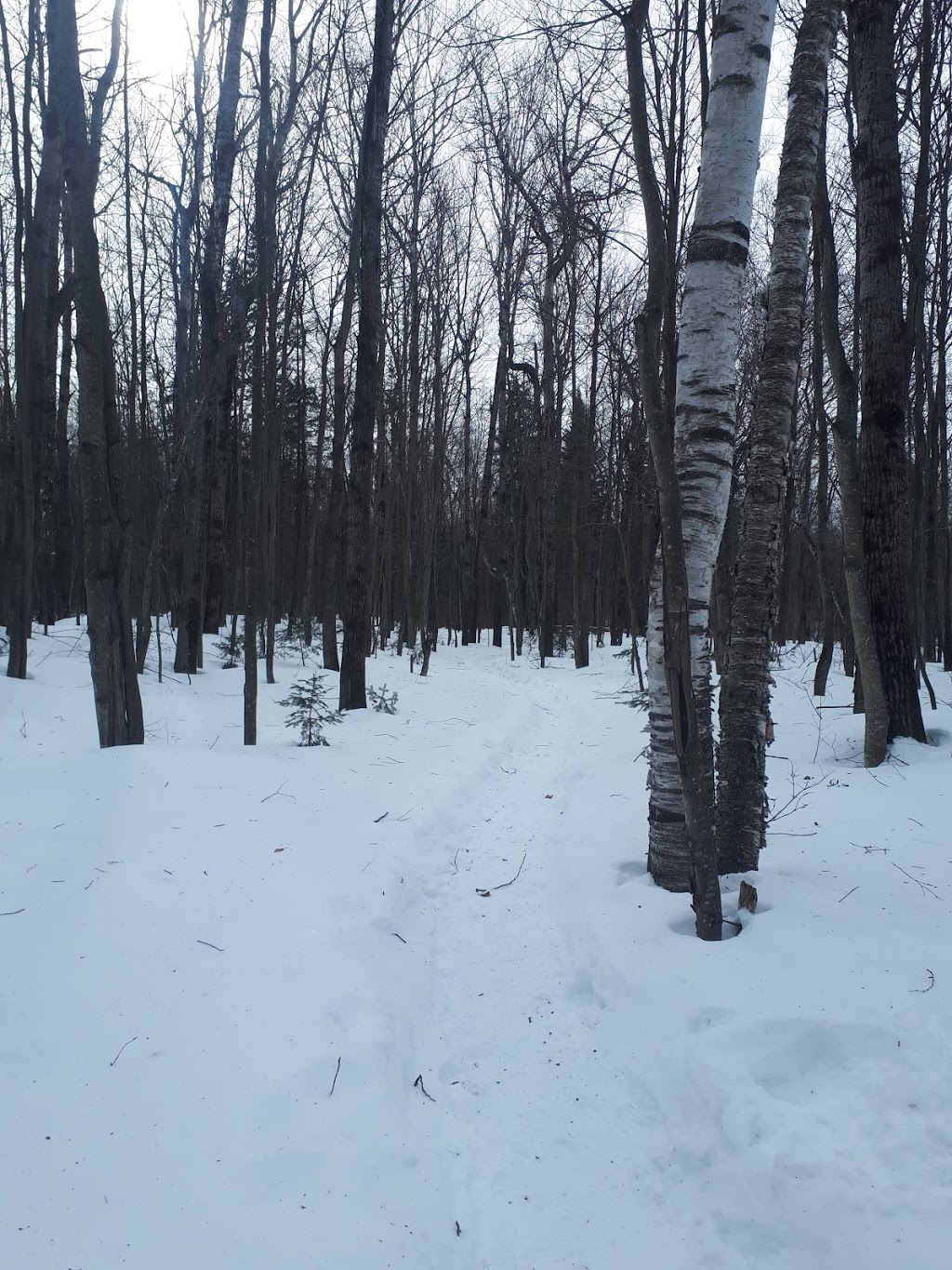 Parc régional des Grandes-Coulées | 2 Route du Plé, Plessisville, QC G0S 1T0, Canada | Phone: (819) 621-1333