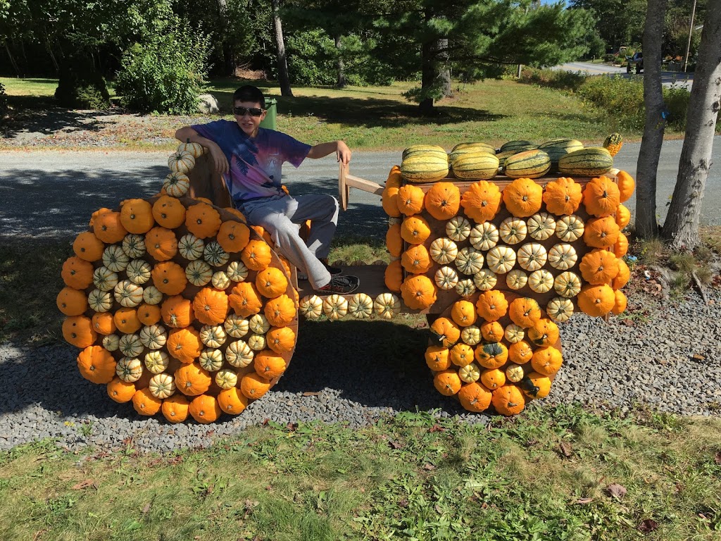 Wiles Lake Farm Market & Bakery | 3254 NS-325, Wileville, NS B4V 5G8, Canada | Phone: (902) 543-6082