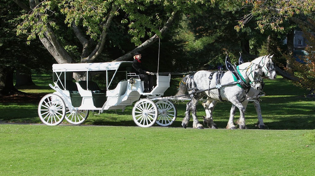 Stanley Park Horse-Drawn Tours | 735 Stanley Park Dr, Vancouver, BC V6C 2T1, Canada | Phone: (604) 681-5115