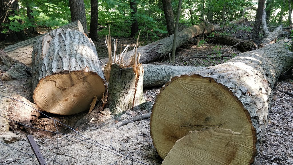 Sherwood park trail | Unnamed Road, Toronto, ON M4P 2B8, Canada