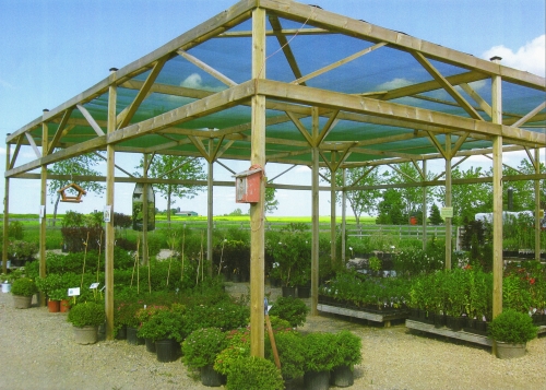 Arthur Greenhouses | 7470 2 Line, Arthur, ON N0G 1A0, Canada | Phone: (519) 848-6816