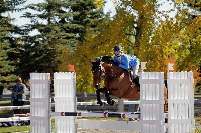 Tailwind Equestrian | 211043 Twp Rd 84B Rd, Lethbridge, AB T1J 5N6, Canada | Phone: (403) 915-2252