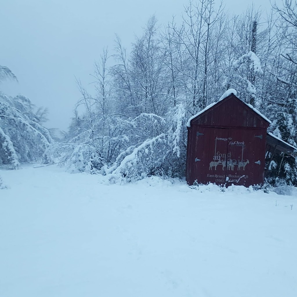 Au Fond des Bois | 1967 route 495, East Branch, NB E4W 5R9, Canada | Phone: (506) 523-9589