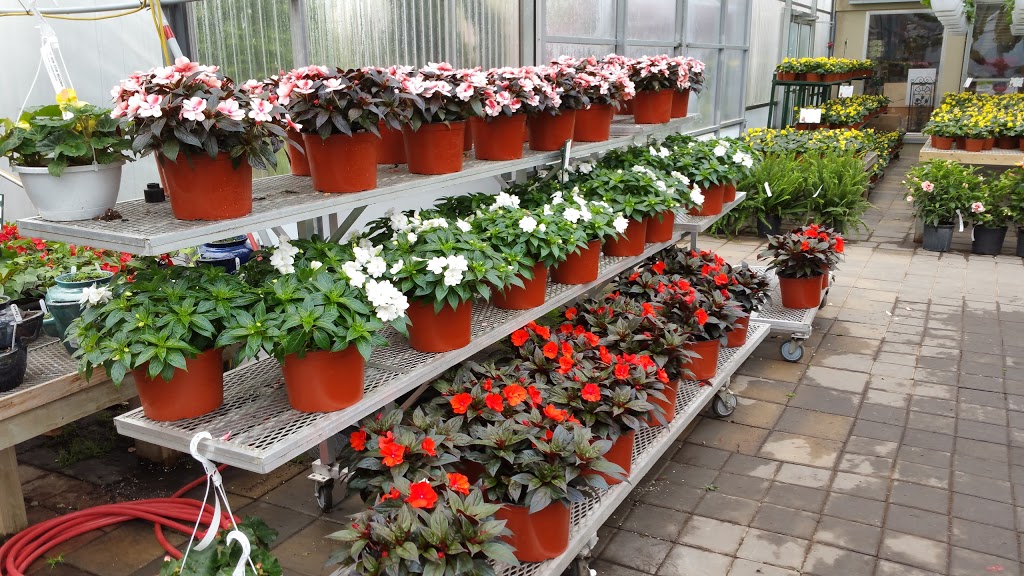 Woodhill Garden Centre | 320 Steeles Av E, Thornhill, ON L3T 1A8, Canada | Phone: (905) 889-2917