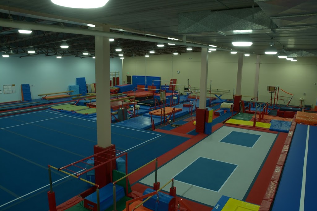 Guelph Saultos Gymnastics | 377 College Ave W, Guelph, ON N1G 4T4, Canada | Phone: (519) 837-3335