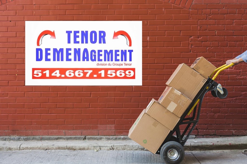 Déménagement Tenor (Transtenor) | 10541 Boul Louis-H, Montréal, QC H1J 2E8, Canada | Phone: (514) 618-8444