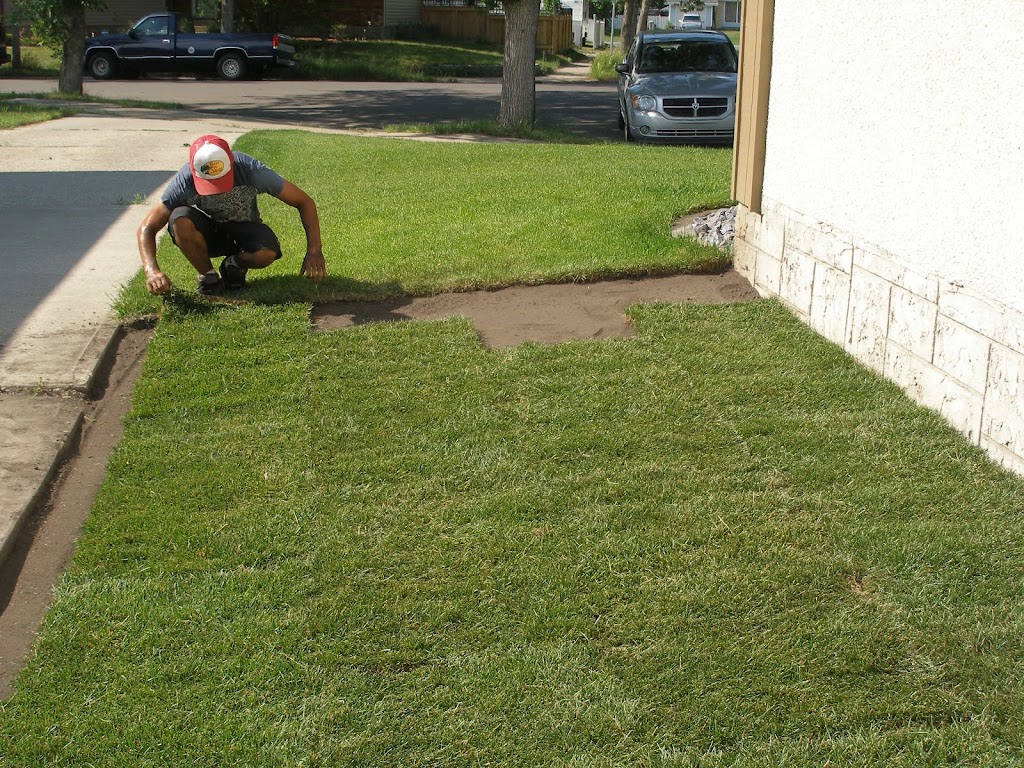 Bullet Bobcat Landscape Services | 81 Cavan Crescent, Sherwood Park, AB T8H 2K6, Canada | Phone: (780) 975-2285