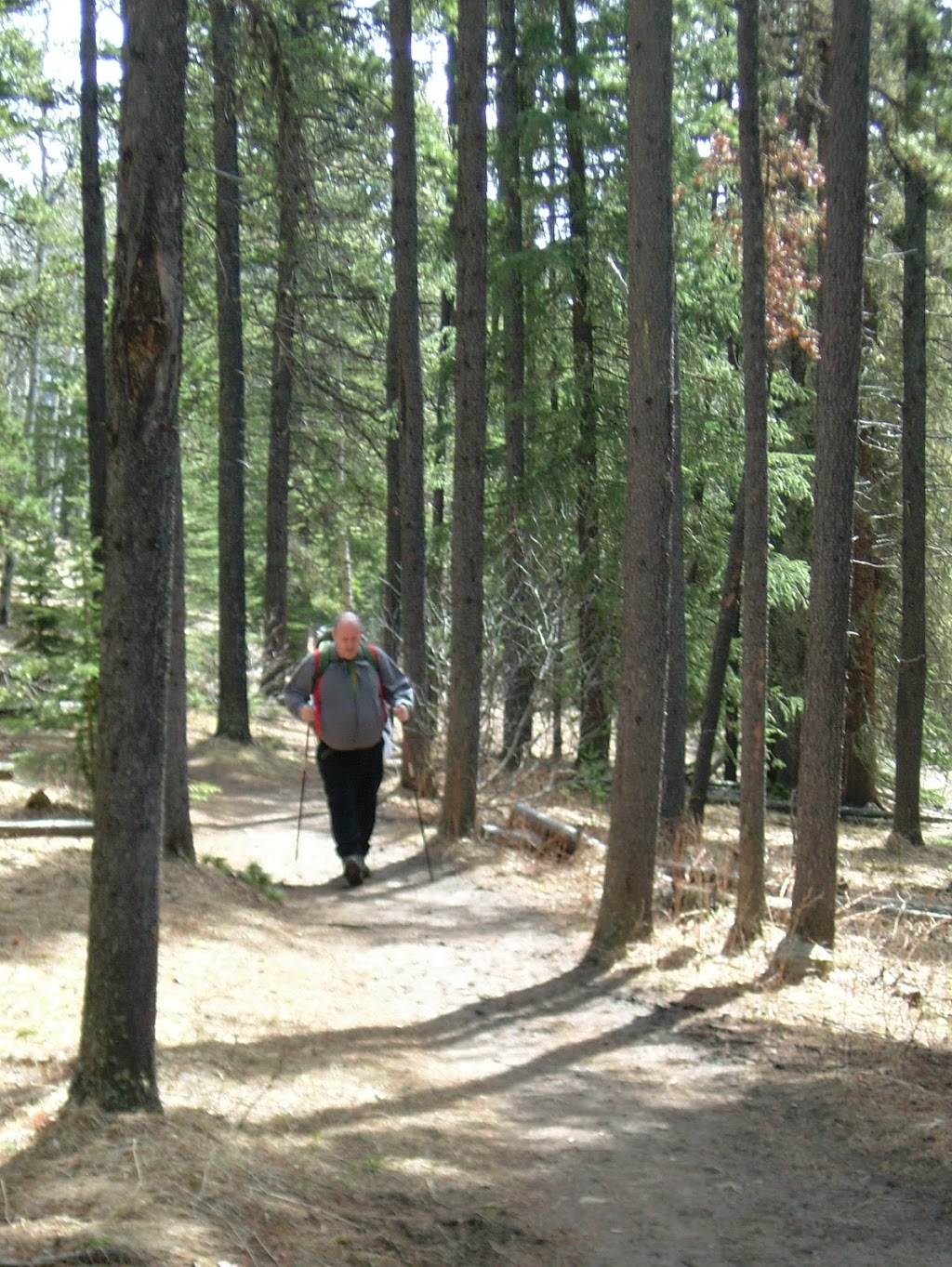 Fullerton Loop Hiking Trail | Alberta 66, Bragg Creek, Kananaskis, AB T0L 0K0, Canada