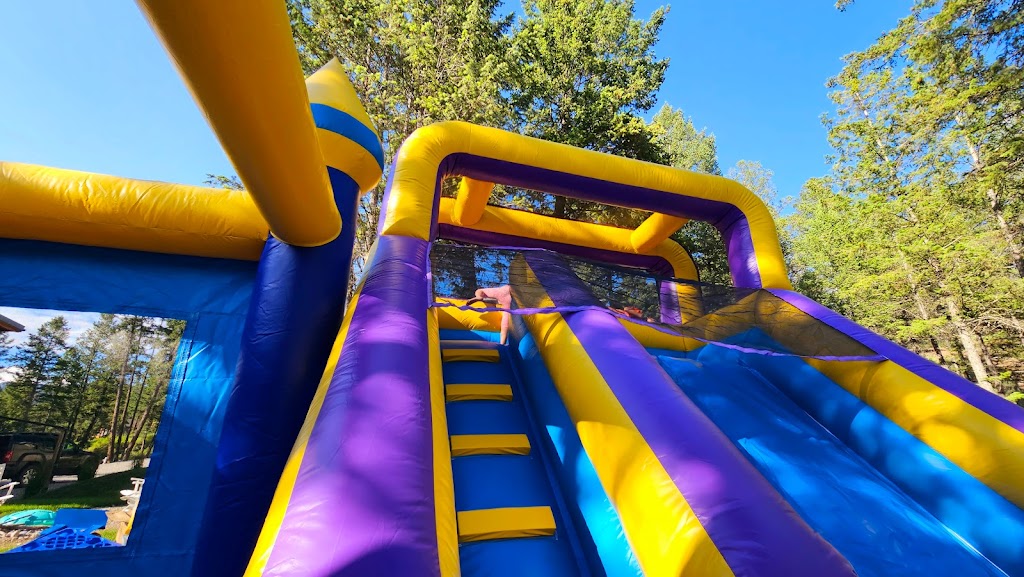 Valley Kids inflatables & party rentals | Crooked Tree Pl, Fairmont Hot Springs, BC V0B 1L1, Canada | Phone: (250) 581-5642