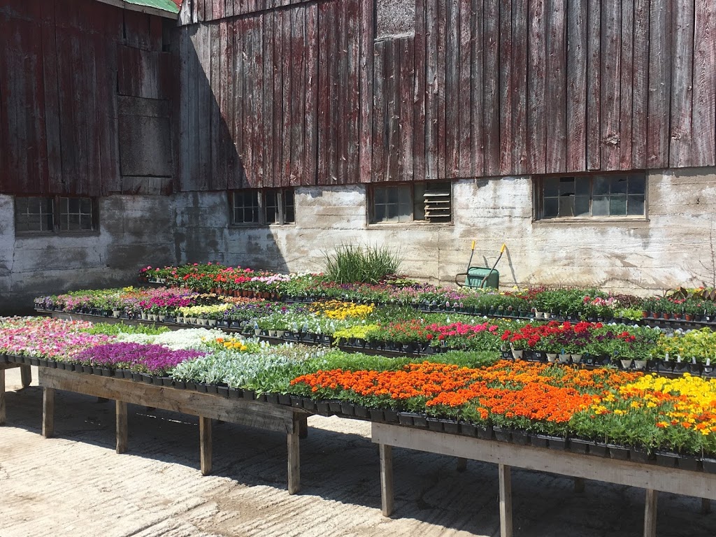 Rural Roots Nursery and Market Garden | 2674 County Rd 42, Stayner, ON L0M 1S0, Canada | Phone: (705) 305-3514