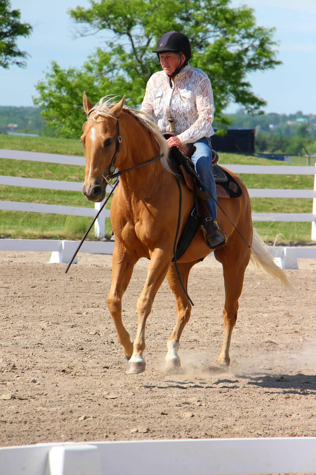 Riverview Stables | 8115 Wellington County Rd 18, Fergus, ON N1M 2W5, Canada | Phone: (519) 803-9413