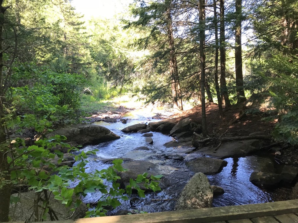 Les Seigneurs du Lac | Chem. des Cèdres, Sainte-Anne-des-Lacs, QC J0R 1B0, Canada | Phone: (514) 932-5935