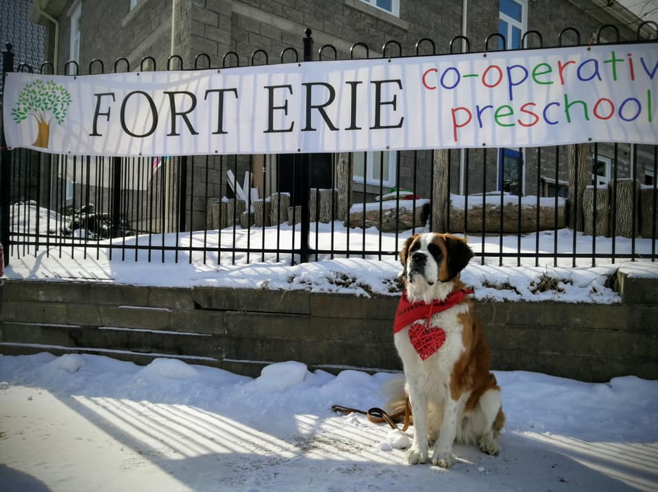 Fort Erie Co-Operative Nursery School | 32 Idylewylde St, Fort Erie, ON L2A 2L1, Canada | Phone: (905) 871-2244