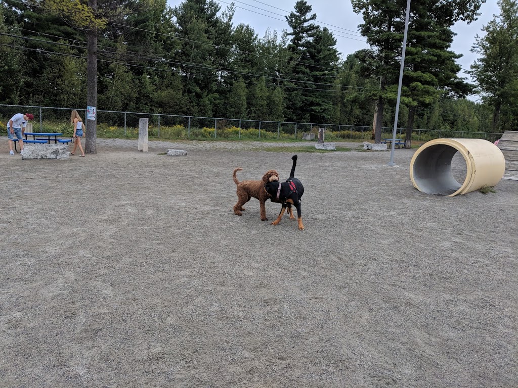 Canine Park Bolivars | 1274 Boulevard Céloron, Blainville, QC J7C 5A8, Canada | Phone: (450) 434-5390