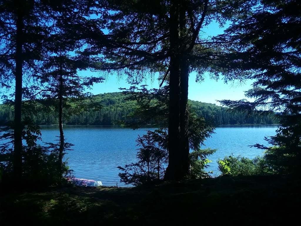 Coleman State Park | 1166 Diamond Pond Rd, Stewartstown, NH 03576, USA | Phone: (603) 237-5382