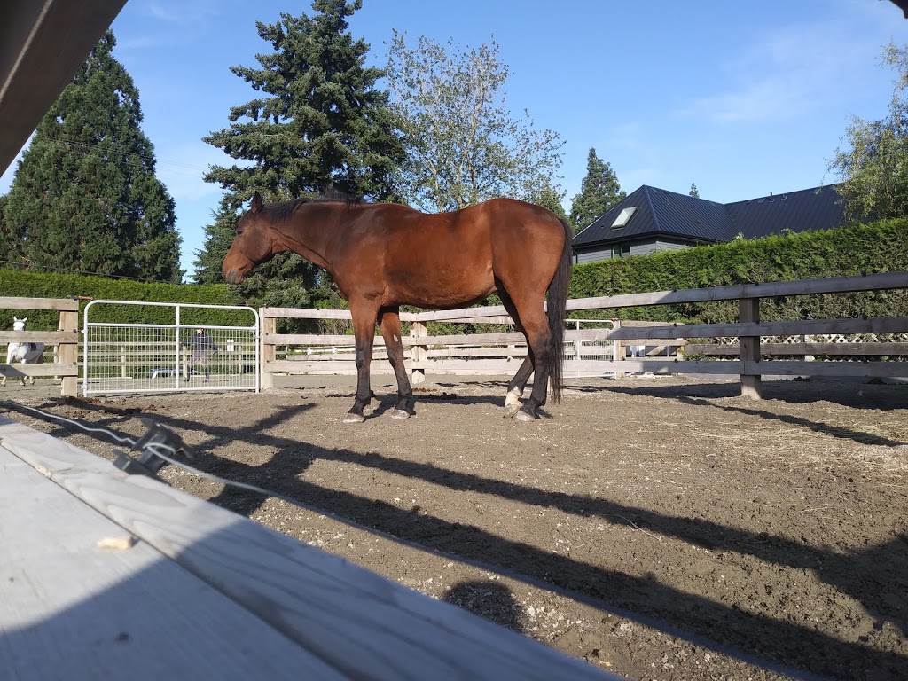 Windsor Stables Vancouver | 7420 Balaclava St, Vancouver, BC V6N 1M8, Canada | Phone: (604) 839-4312