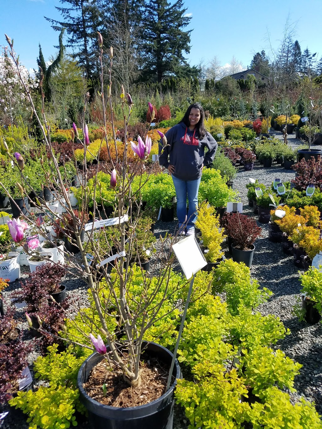 Kents Garden & Nursery | 5428 Northwest Dr, Bellingham, WA 98226, USA | Phone: (360) 384-4433