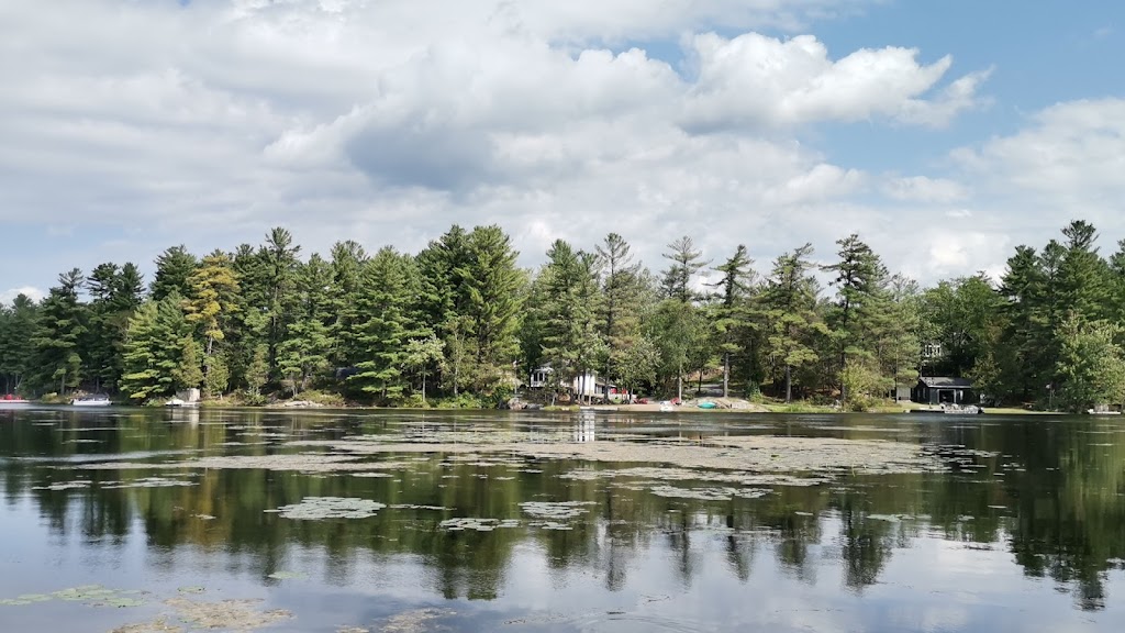 Loon Cottage | Island 1098 Big Duck Pond, Stony Lake, Douro-Dummer, ON K0L 2H0, Canada | Phone: (604) 401-4288