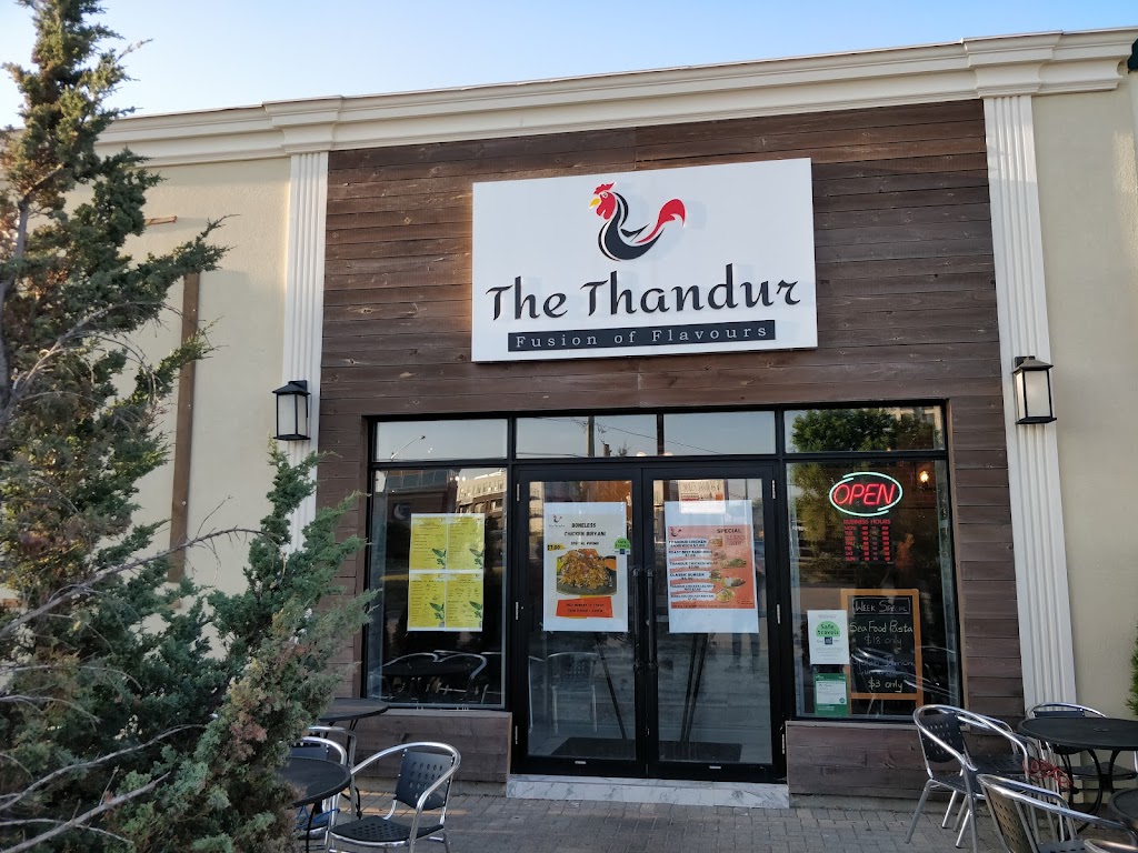 The Thandur Restaurant | 50 Anderson Ave, Markham, ON L6E 1A6, Canada | Phone: (905) 554-5288