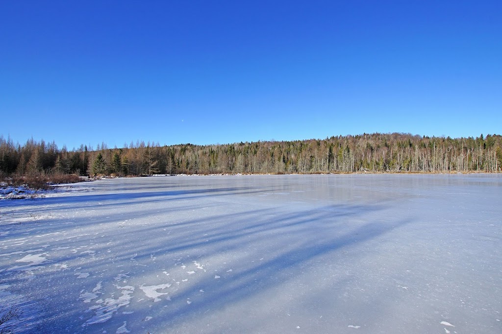 Chalets Scandik | 20 Rue du Guerrier, Sainte-Marguerite-du-Lac-Masson, QC J0T 1L0, Canada | Phone: (438) 942-8770