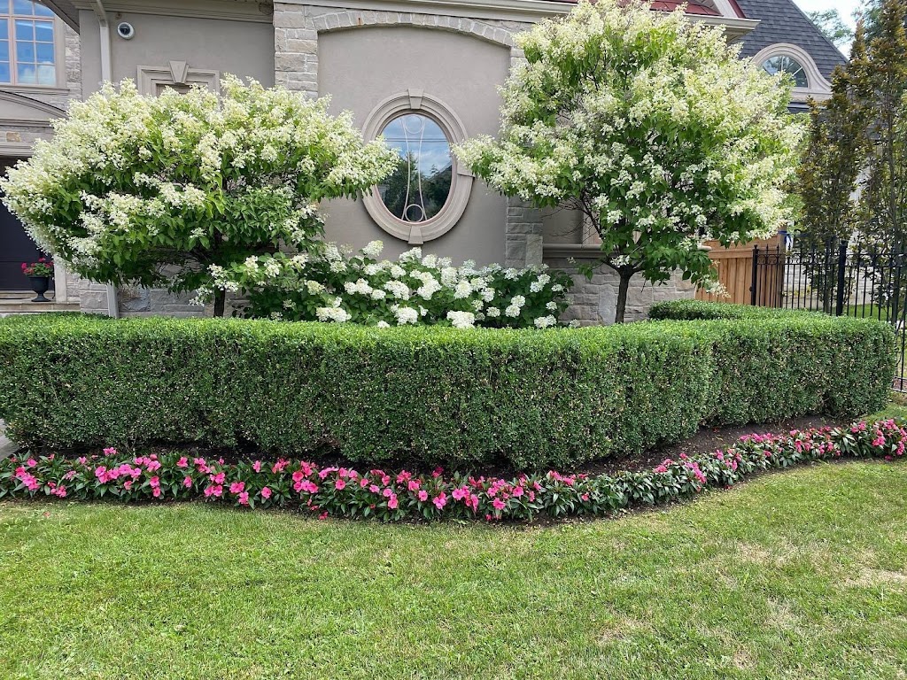 Green Dream Landscaping | 57 Riding Mountain Drive, Richmond Hill, ON L4E 0V3, Canada | Phone: (647) 460-4765