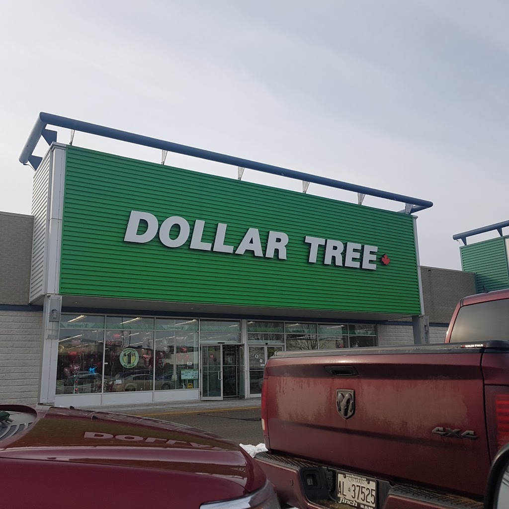 Dollar Tree | 5-1379 London Rd, Sarnia, ON N7S 1P6, Canada | Phone: (519) 541-9577