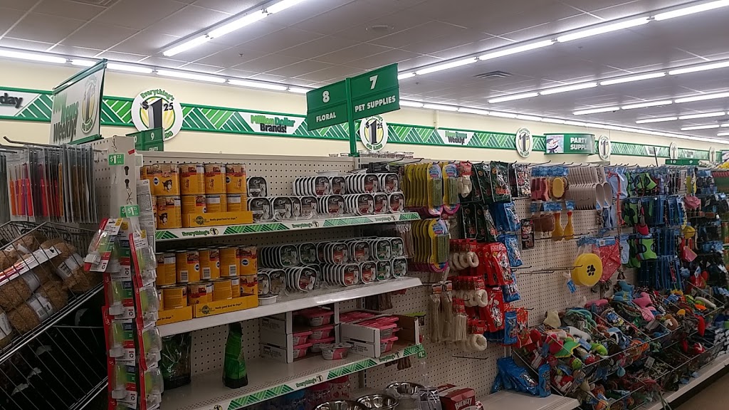 Dollar Tree | 2291 Kipling Ave, Etobicoke, ON M9W 4L6, Canada | Phone: (416) 749-8900