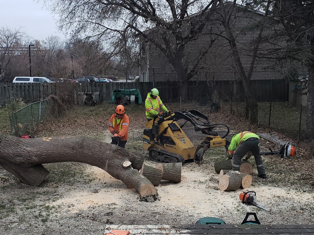 St. Catharines Tree Service | 14 Walsh Ave, St. Catharines, ON L2M 2M1, Canada | Phone: (905) 658-6586