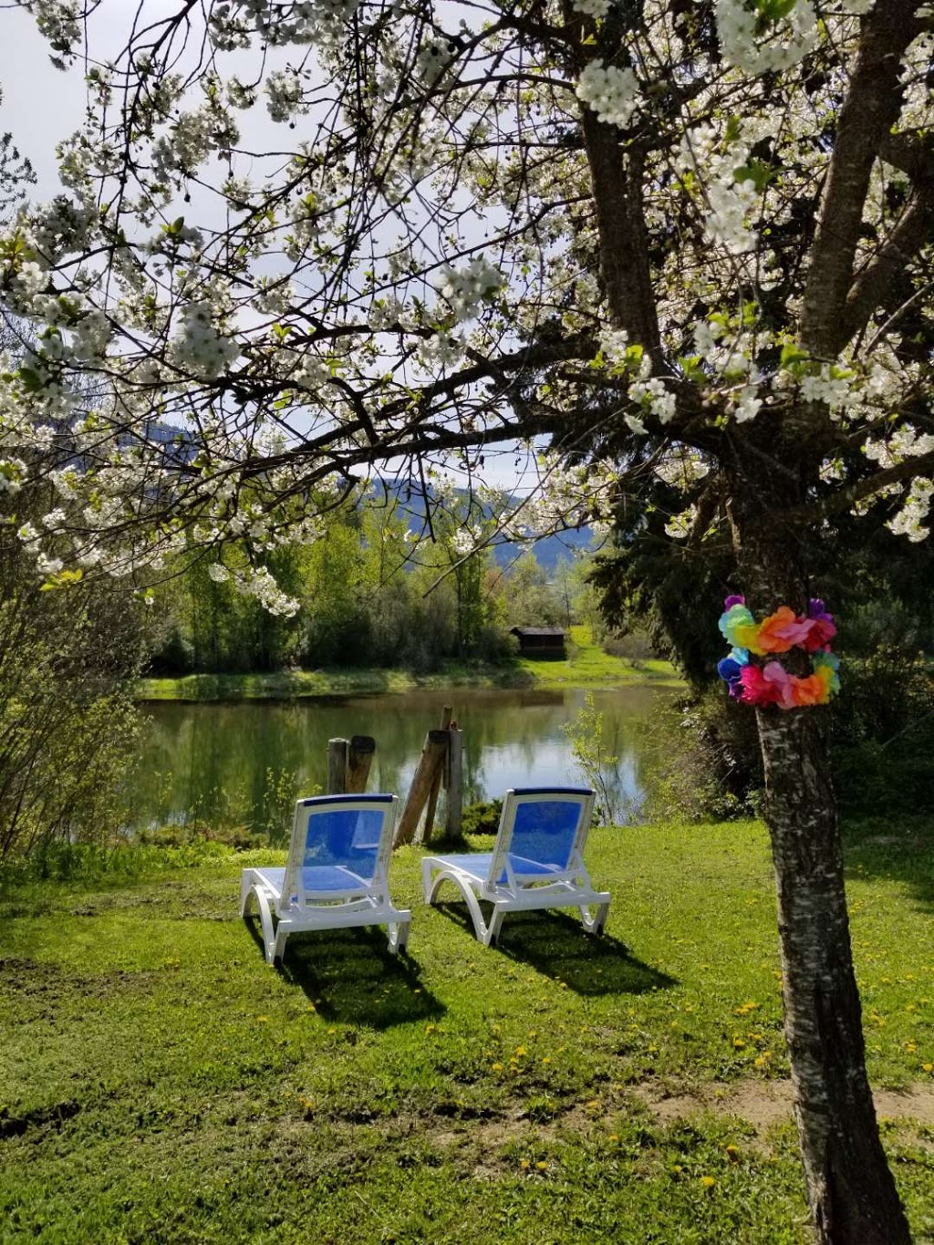 Shuswap River House | 103 Emeny Rd, Enderby, BC V0E 1V3, Canada | Phone: (250) 463-4252