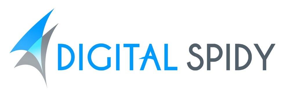 Digital Spidy | 5 Shallice Ct, Scarborough, ON M1B 4W9, Canada | Phone: (647) 877-4944