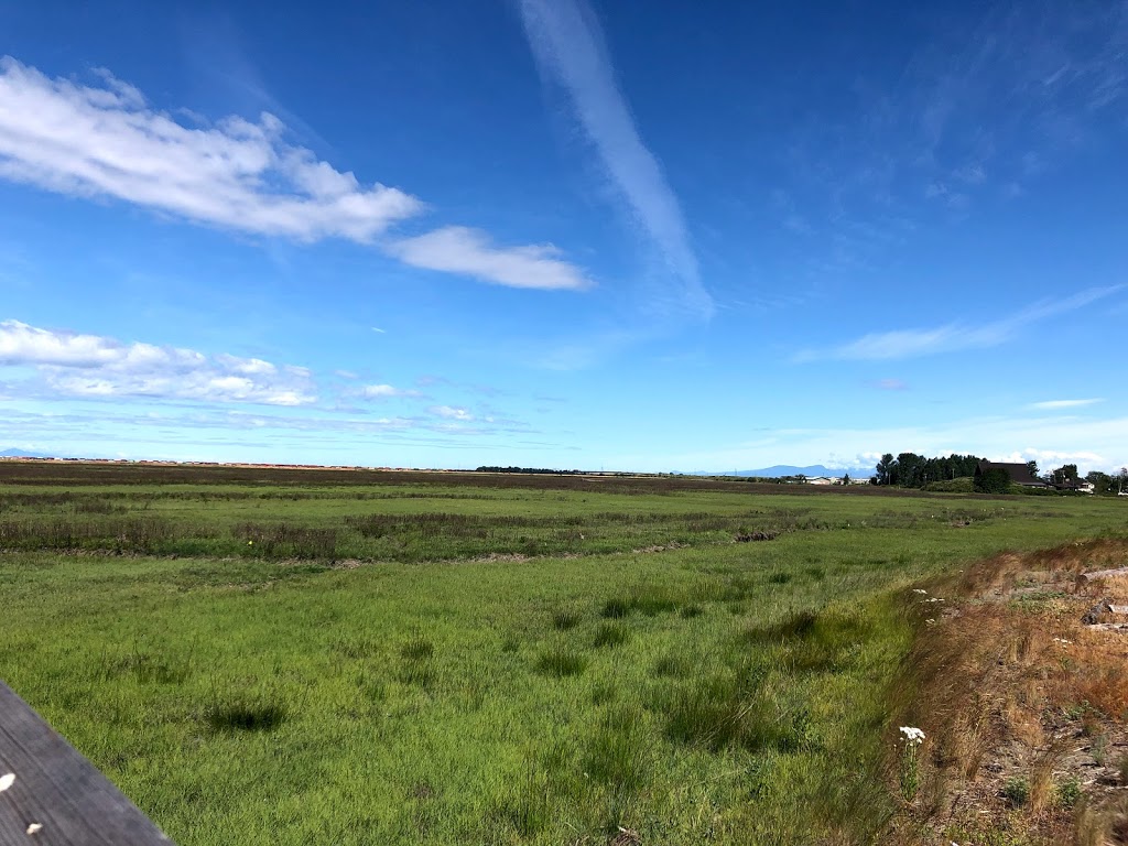 Tsawwassen Landing Boardwalk | 1926 Tsawwassen Dr N, Tsawwassen, BC V4M 4G4, Canada