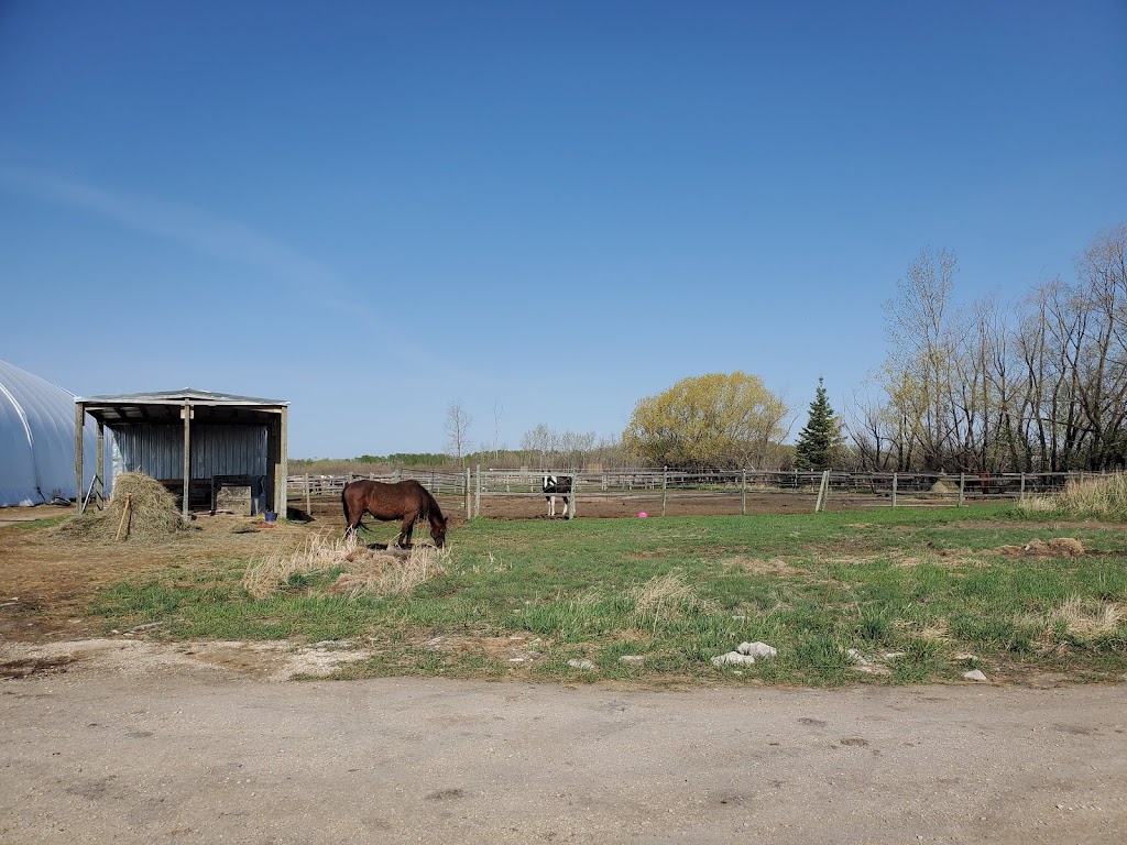 Cooks Creek Equestrian | 68082, MB-212, Cooks Creek, MB R5M 0E2, Canada | Phone: (431) 688-4344