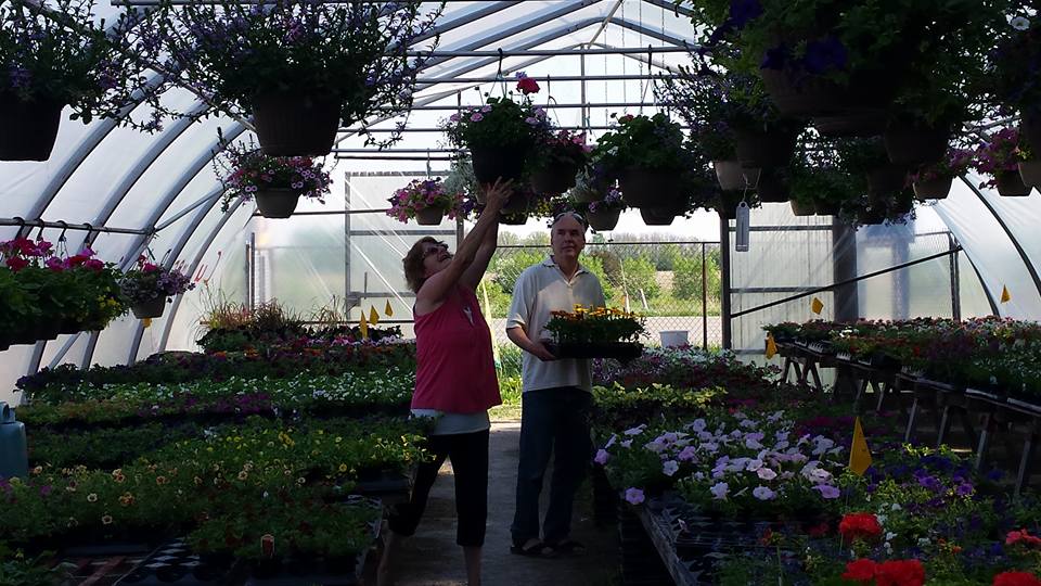 Mias Flowers & Garden Center | 4008 Dundas St, London, ON N5V 5C6, Canada | Phone: (519) 455-6111