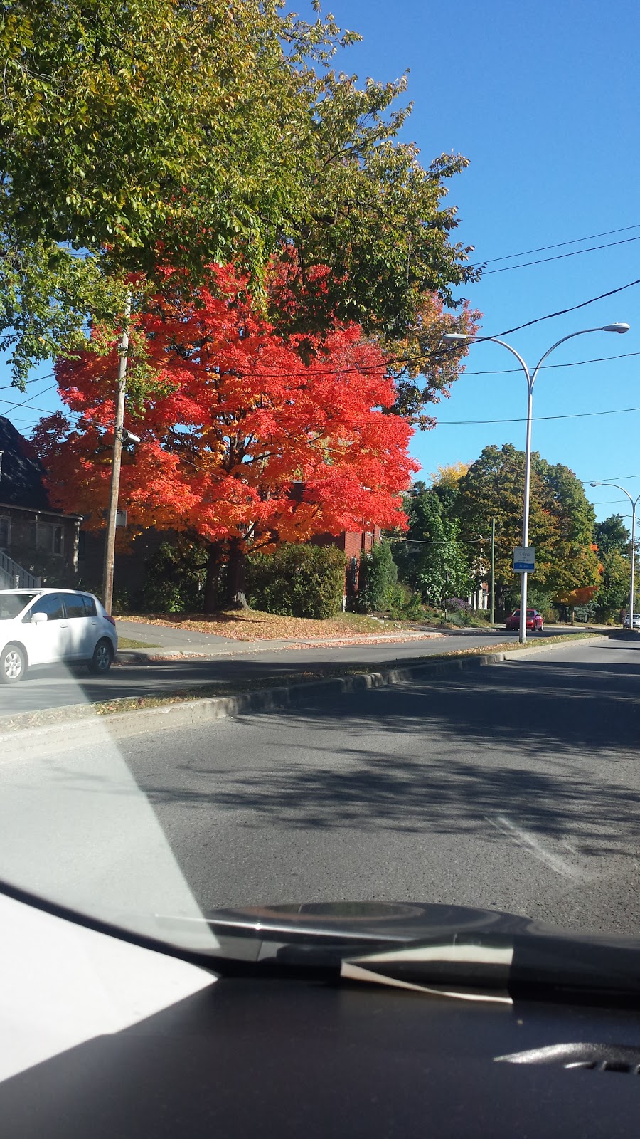 Parc Catherine-Primot | 195 Rue de Châteauguay, Longueuil, QC J4H 2K8, Canada