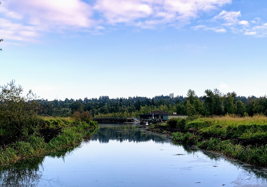 Burnaby Lake Rugby Club | 3760 Sperling Ave, Burnaby, BC V5B 4X5, Canada | Phone: (604) 294-4144