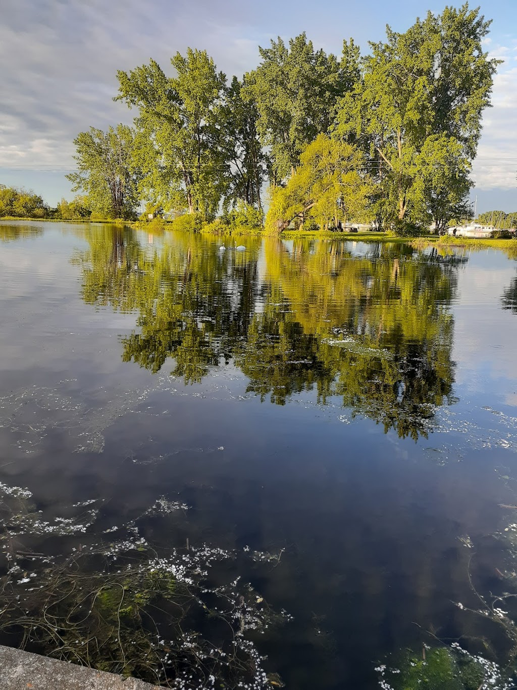 Trent-Severn Waterway, Lock 13 - Campbellford | 6199 County Rd 50, Campbellford, ON K0L 1L0, Canada | Phone: (705) 653-1984